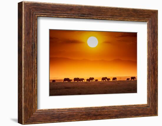 Sunrise parade-Jeffrey C. Sink-Framed Photographic Print