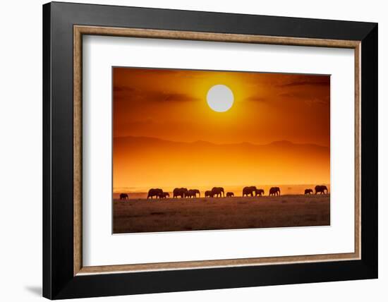 Sunrise parade-Jeffrey C. Sink-Framed Photographic Print