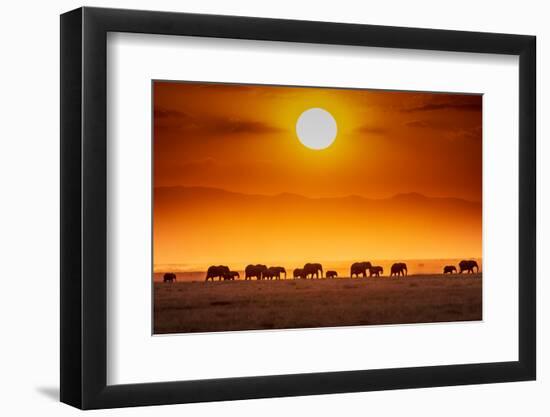 Sunrise parade-Jeffrey C. Sink-Framed Photographic Print