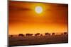 Sunrise parade-Jeffrey C. Sink-Mounted Photographic Print