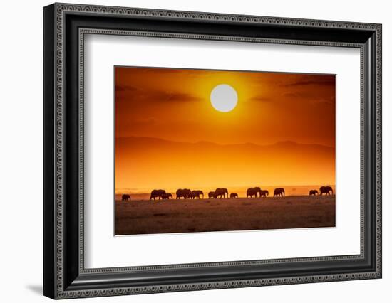 Sunrise parade-Jeffrey C. Sink-Framed Photographic Print