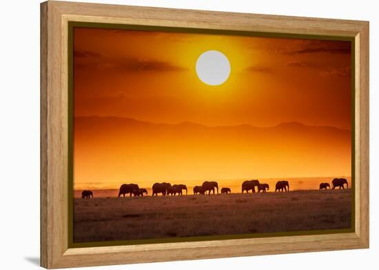 Sunrise parade-Jeffrey C. Sink-Framed Premier Image Canvas