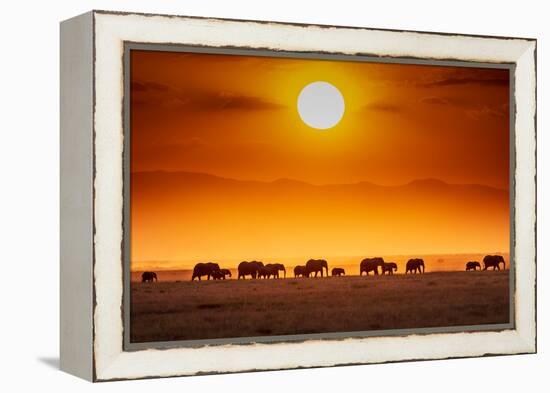 Sunrise parade-Jeffrey C. Sink-Framed Premier Image Canvas