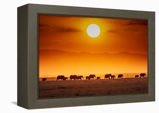 Sunrise parade-Jeffrey C. Sink-Framed Premier Image Canvas