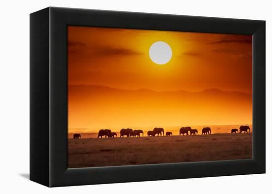 Sunrise parade-Jeffrey C. Sink-Framed Premier Image Canvas