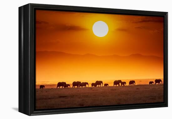 Sunrise parade-Jeffrey C. Sink-Framed Premier Image Canvas