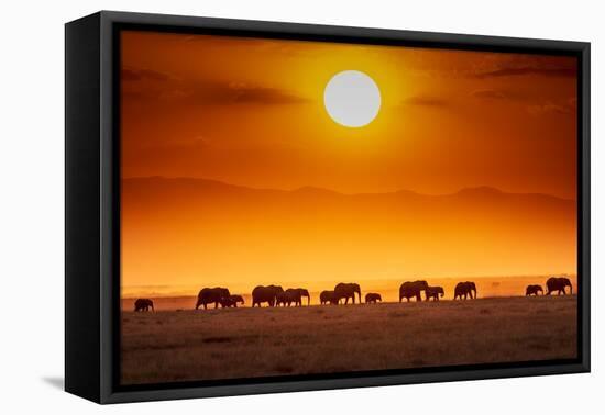 Sunrise parade-Jeffrey C. Sink-Framed Premier Image Canvas