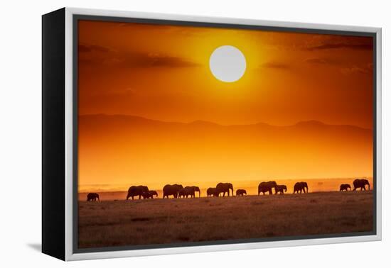 Sunrise parade-Jeffrey C. Sink-Framed Premier Image Canvas