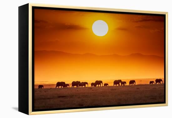 Sunrise parade-Jeffrey C. Sink-Framed Premier Image Canvas