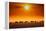 Sunrise parade-Jeffrey C. Sink-Framed Premier Image Canvas