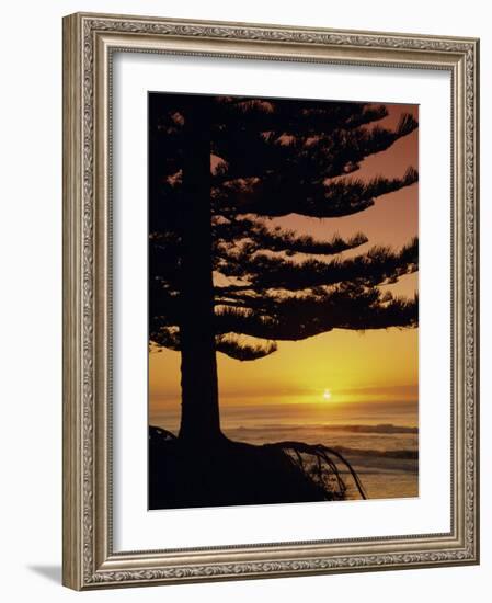 Sunrise, Pine Beach, Gisborne, East Coast, North Island, New Zealand, Pacific-Dominic Webster-Framed Photographic Print