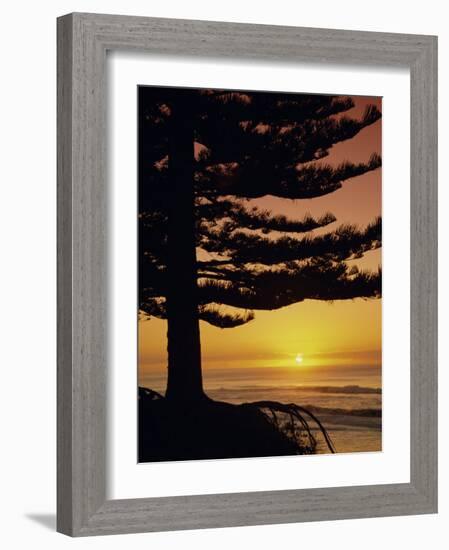 Sunrise, Pine Beach, Gisborne, East Coast, North Island, New Zealand, Pacific-Dominic Webster-Framed Photographic Print