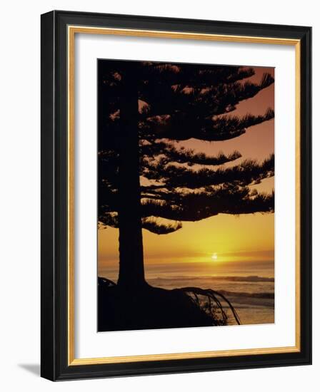 Sunrise, Pine Beach, Gisborne, East Coast, North Island, New Zealand, Pacific-Dominic Webster-Framed Photographic Print