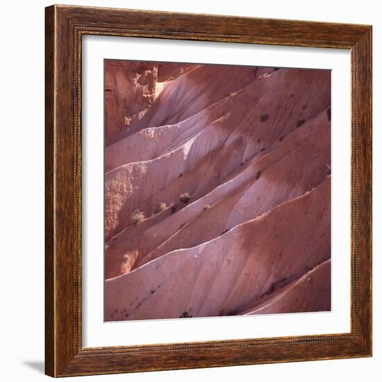 Sunrise Point, Bryce Canyon, Utah, USA-Paul C. Pet-Framed Photographic Print