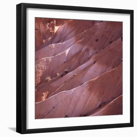 Sunrise Point, Bryce Canyon, Utah, USA-Paul C. Pet-Framed Photographic Print