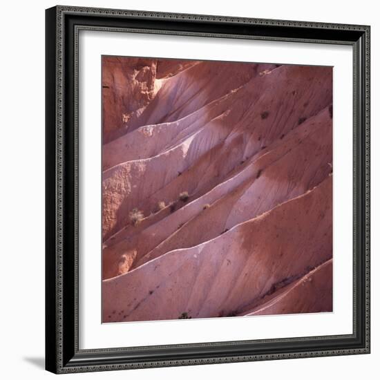 Sunrise Point, Bryce Canyon, Utah, USA-Paul C. Pet-Framed Photographic Print