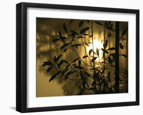 Sunrise Reflected in Pond, Callaway Gardens, Georgia, USA-Nancy Rotenberg-Framed Photographic Print