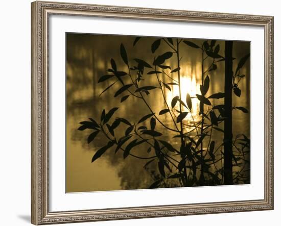 Sunrise Reflected in Pond, Callaway Gardens, Georgia, USA-Nancy Rotenberg-Framed Photographic Print