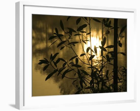 Sunrise Reflected in Pond, Callaway Gardens, Georgia, USA-Nancy Rotenberg-Framed Photographic Print