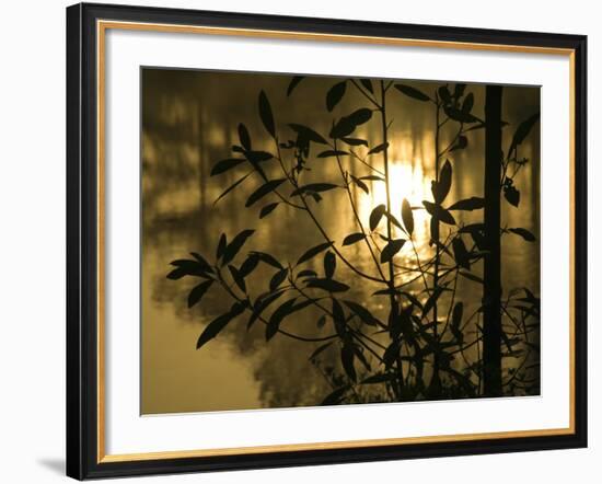 Sunrise Reflected in Pond, Callaway Gardens, Georgia, USA-Nancy Rotenberg-Framed Photographic Print