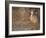 Sunrise, Sandhill cranes Bosque del Apache National Wildlife Refuge, New Mexico-Maresa Pryor-Framed Photographic Print