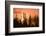 Sunrise scenic views near Timberline lodge, Lolo Pass, Mt. Hood Wilderness Area, Oregon, USA-Stuart Westmorland-Framed Photographic Print