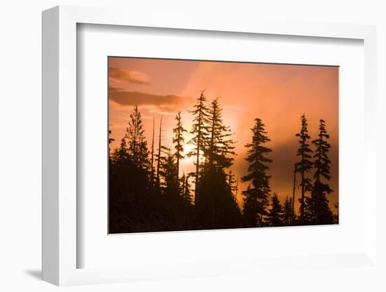 Sunrise scenic views near Timberline lodge, Lolo Pass, Mt. Hood Wilderness Area, Oregon, USA-Stuart Westmorland-Framed Photographic Print