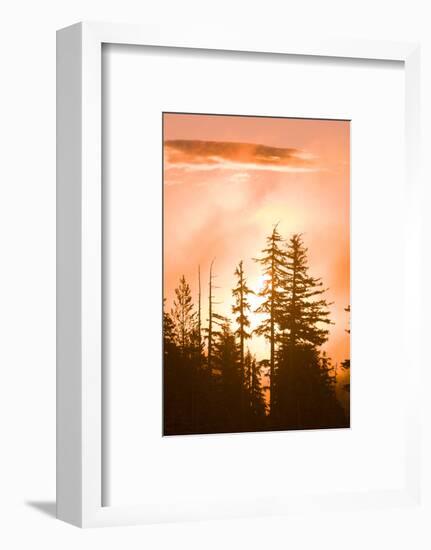 Sunrise scenic views near Timberline Lodge, Lolo Pass, Mt. Hood Wilderness Area, Oregon, USA-Stuart Westmorland-Framed Photographic Print