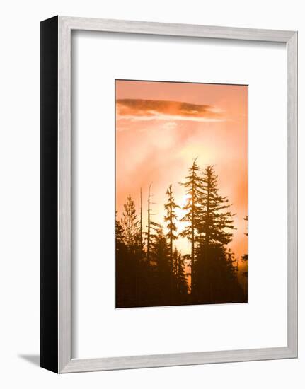 Sunrise scenic views near Timberline Lodge, Lolo Pass, Mt. Hood Wilderness Area, Oregon, USA-Stuart Westmorland-Framed Photographic Print