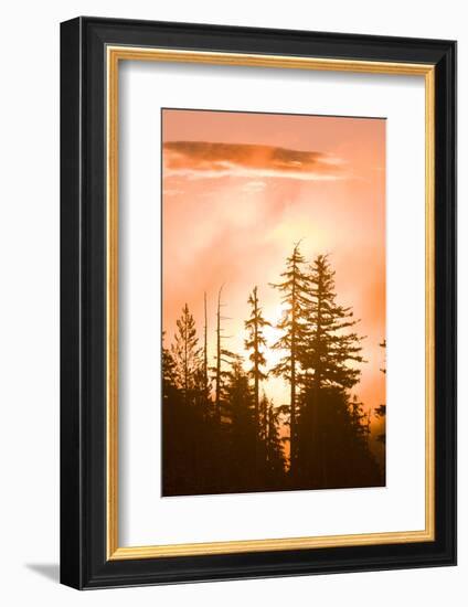 Sunrise scenic views near Timberline Lodge, Lolo Pass, Mt. Hood Wilderness Area, Oregon, USA-Stuart Westmorland-Framed Photographic Print