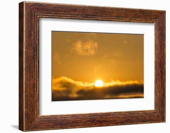 Sunrise, Sonoma, California-Rob Sheppard-Framed Photographic Print