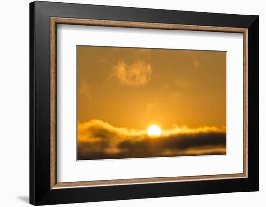 Sunrise, Sonoma, California-Rob Sheppard-Framed Photographic Print