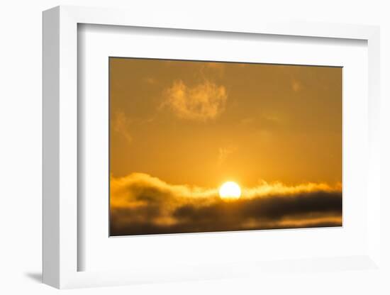 Sunrise, Sonoma, California-Rob Sheppard-Framed Photographic Print