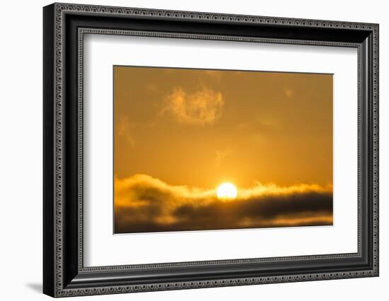 Sunrise, Sonoma, California-Rob Sheppard-Framed Photographic Print