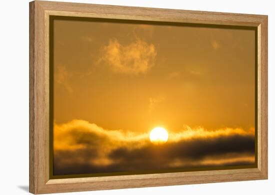 Sunrise, Sonoma, California-Rob Sheppard-Framed Premier Image Canvas