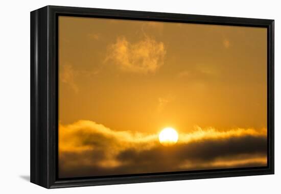 Sunrise, Sonoma, California-Rob Sheppard-Framed Premier Image Canvas