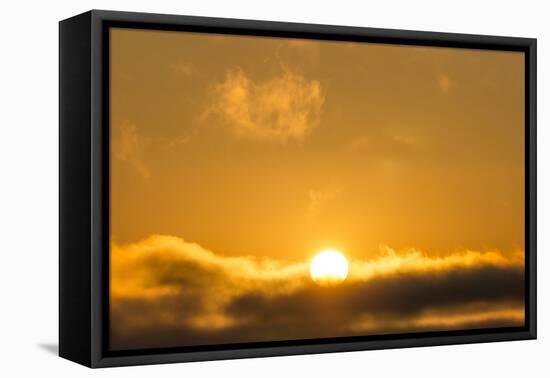 Sunrise, Sonoma, California-Rob Sheppard-Framed Premier Image Canvas