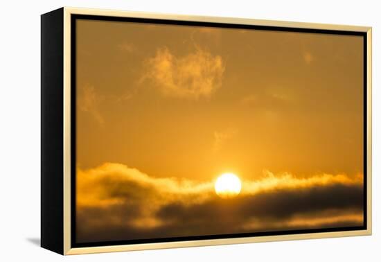 Sunrise, Sonoma, California-Rob Sheppard-Framed Premier Image Canvas