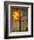 Sunrise Sunset Tree-Blenda Tyvoll-Framed Art Print