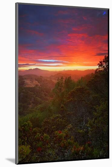 Sunrise Surprise, Divine Color Over Mount Diablo, Oakland, Bay Area-Vincent James-Mounted Photographic Print