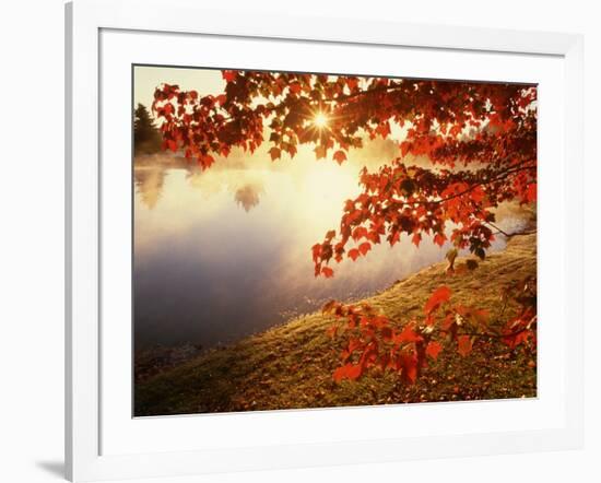 Sunrise Through Autumn Leaves-Joseph Sohm-Framed Premium Photographic Print