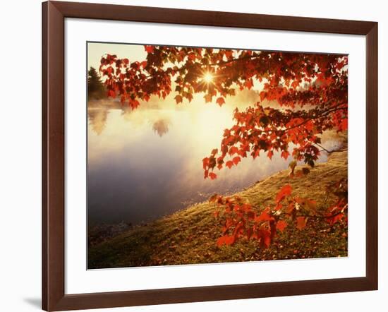 Sunrise Through Autumn Leaves-Joseph Sohm-Framed Premium Photographic Print