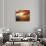 Sunrise Through Autumn Leaves-Joseph Sohm-Premium Photographic Print displayed on a wall