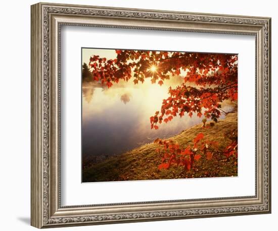 Sunrise Through Autumn Leaves-Joseph Sohm-Framed Photographic Print