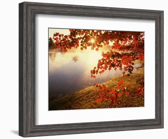 Sunrise Through Autumn Leaves-Joseph Sohm-Framed Photographic Print