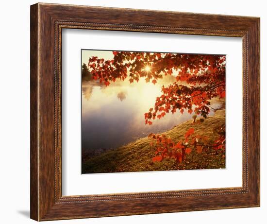 Sunrise Through Autumn Leaves-Joseph Sohm-Framed Photographic Print