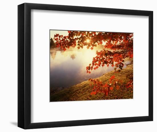 Sunrise Through Autumn Leaves-Joseph Sohm-Framed Photographic Print