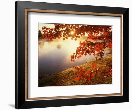 Sunrise Through Autumn Leaves-Joseph Sohm-Framed Photographic Print