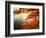 Sunrise Through Autumn Leaves-Joseph Sohm-Framed Photographic Print