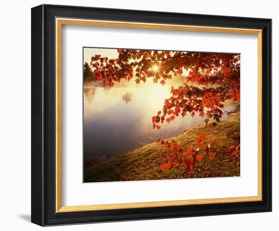 Sunrise Through Autumn Leaves-Joseph Sohm-Framed Photographic Print